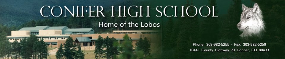 Conifer High School Library