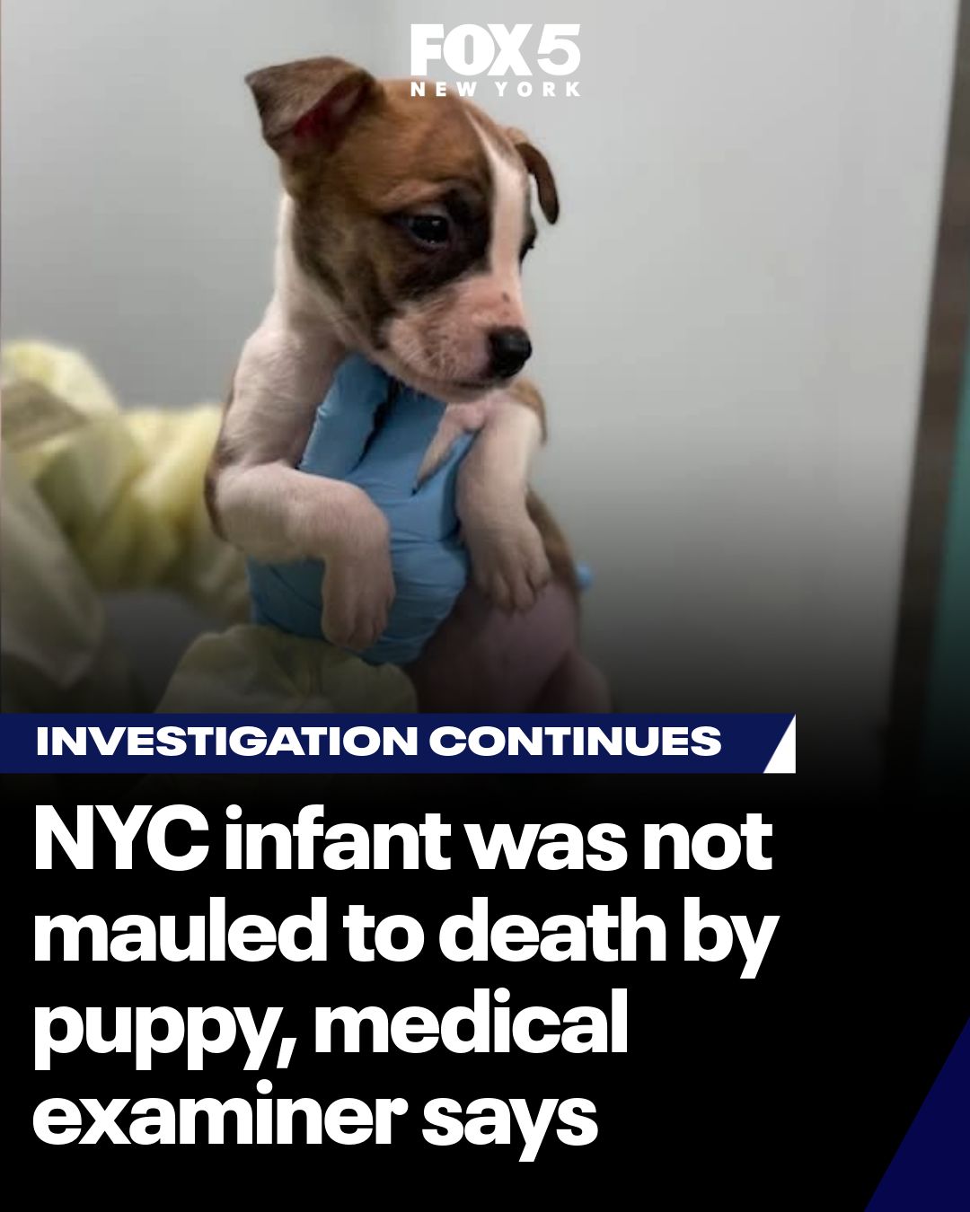 The victim was pronounced dead at the scene, according to FDNY. To