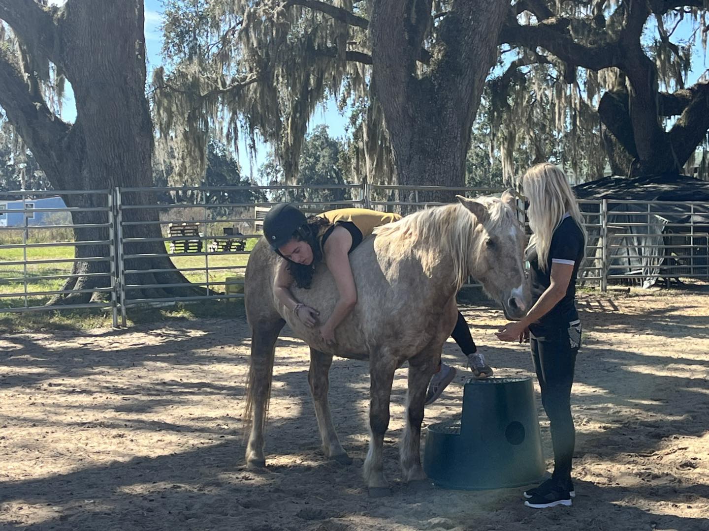 Wild Horse Rescue Center added... - Wild Horse Rescue Center