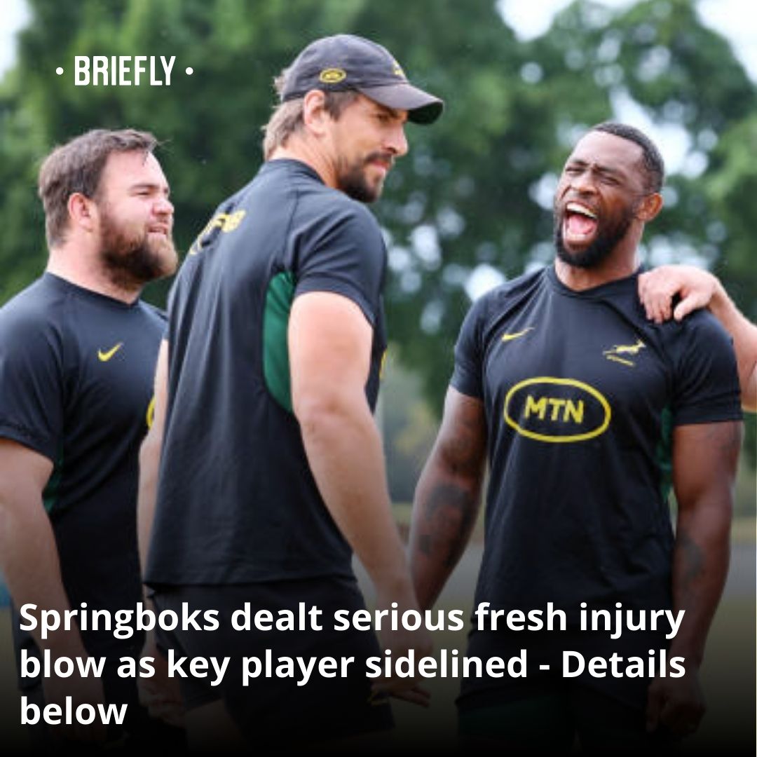 Briefly - A South African rugby star’s latest injury setback has dealt ...
