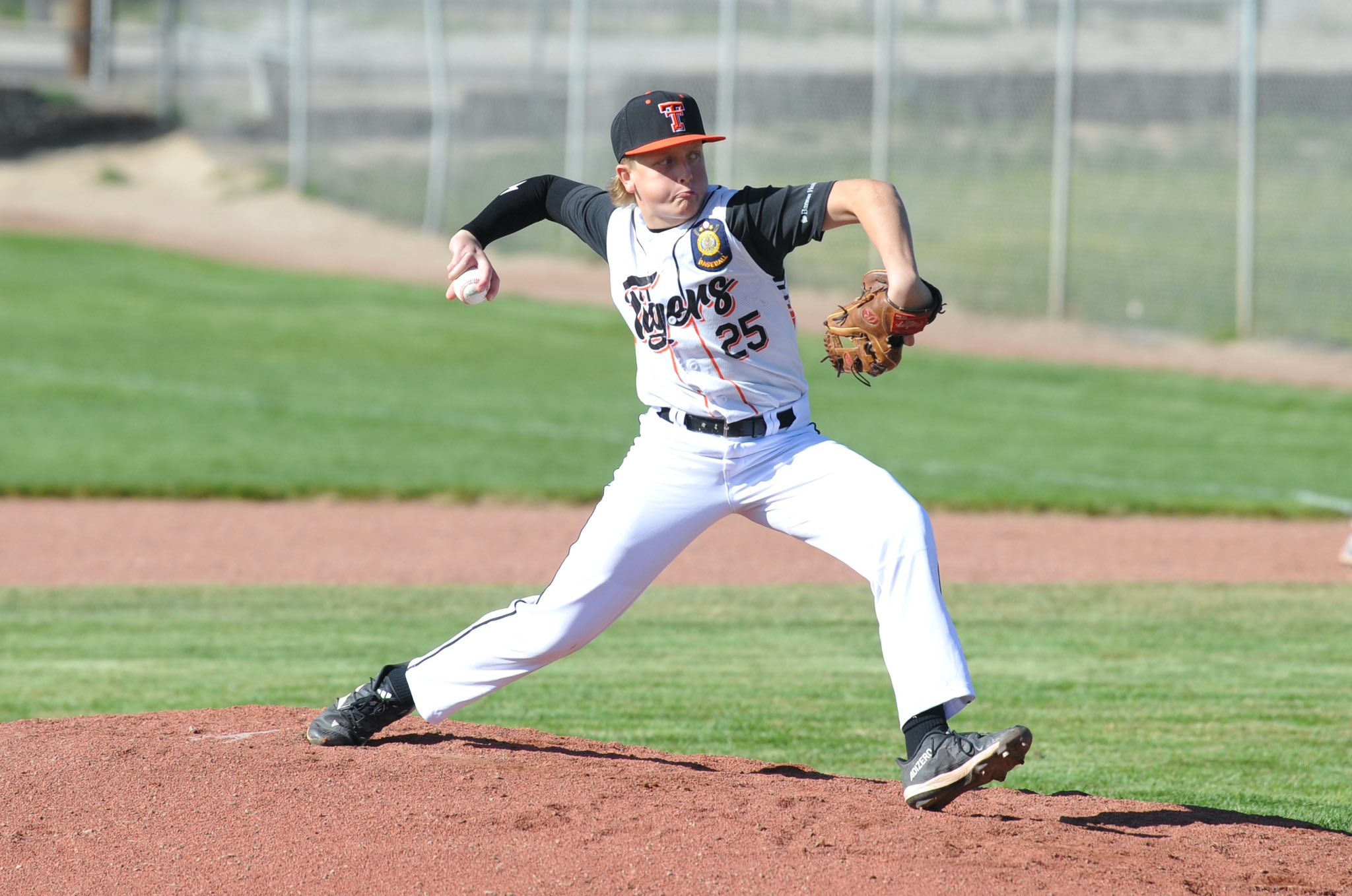 Torrington Tigers Baseball