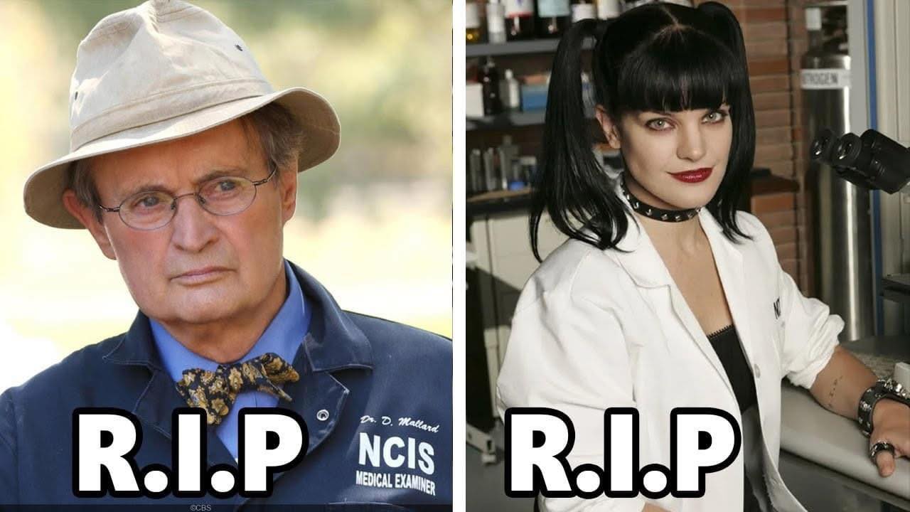 Rizzoli - 32 NCIS Actors Who Have Passed Away Check the Comments 👇👇👇 ...