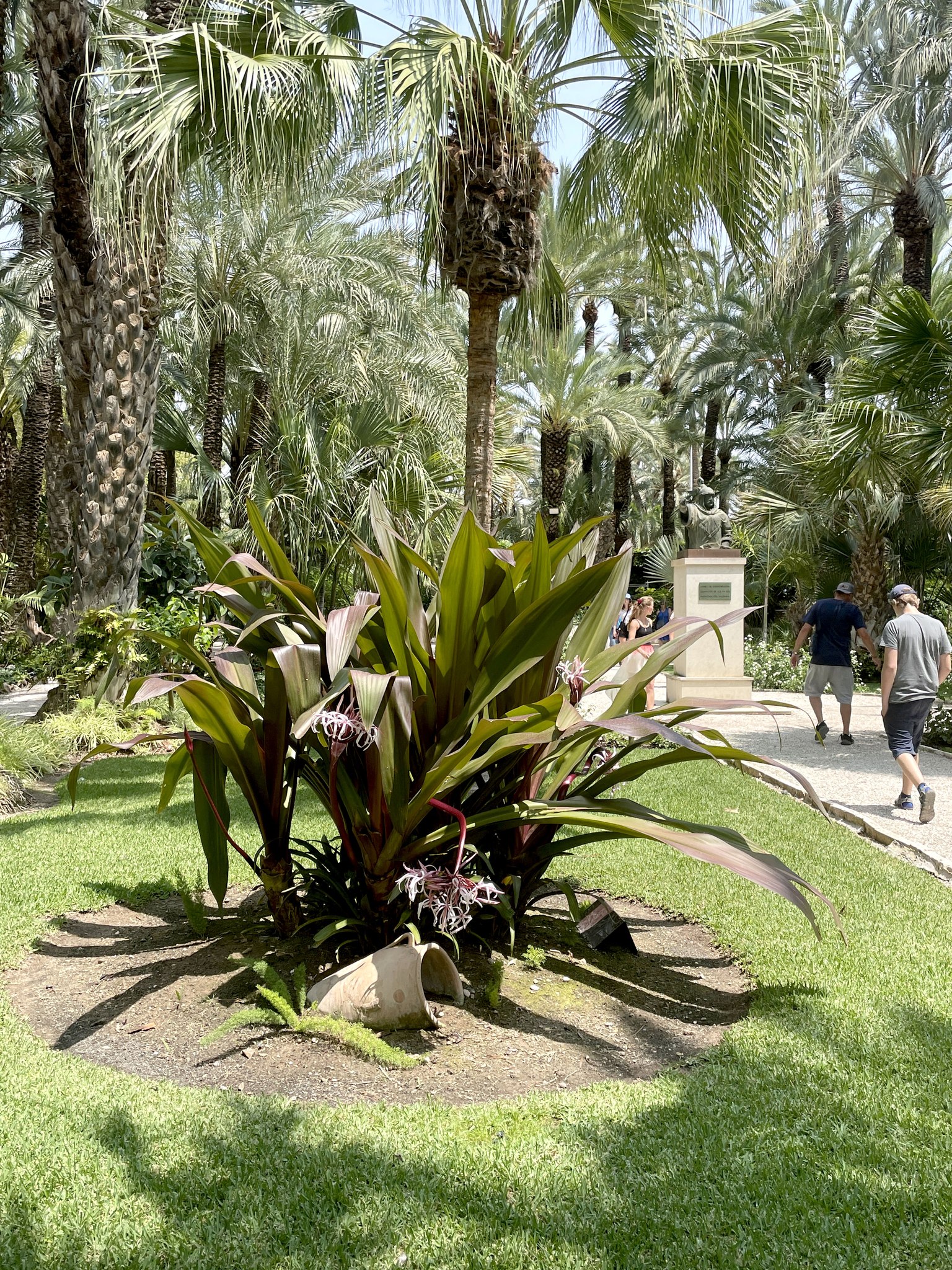 Visit Elche - 👉🏻 ¡Visita recomendada! 💯👏🏻👏🏻👏🏻👏🏻 | Facebook