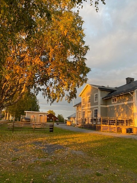 Visit Strömsund - Visit Strömsund added a new photo.