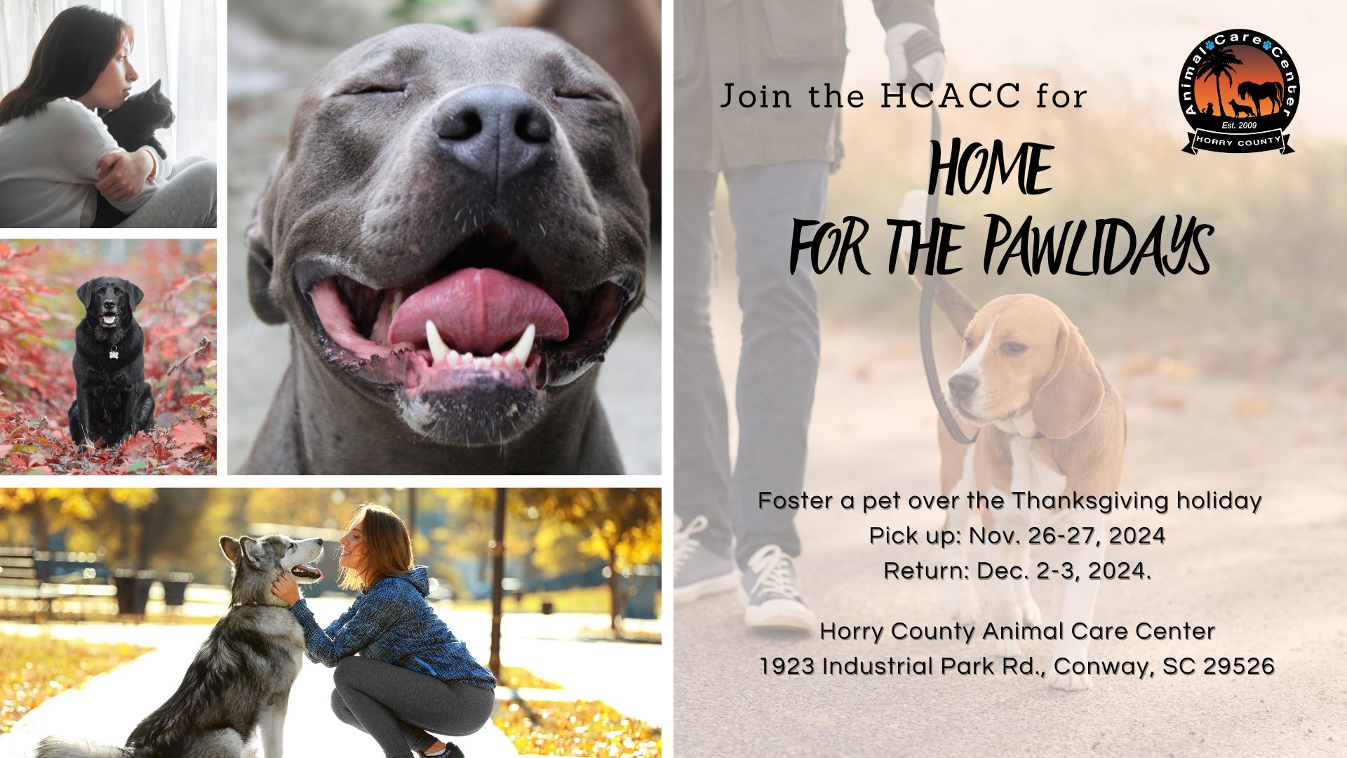 Home for the Pawlidays - Thanksgiving 2024