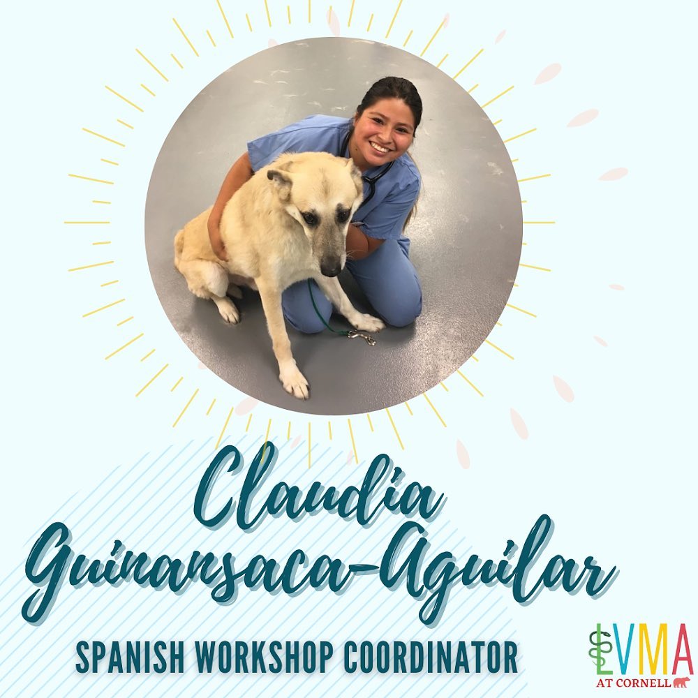 LVMA at Cornell - Spotlight alert 🚨 We are excited to... | Facebook
