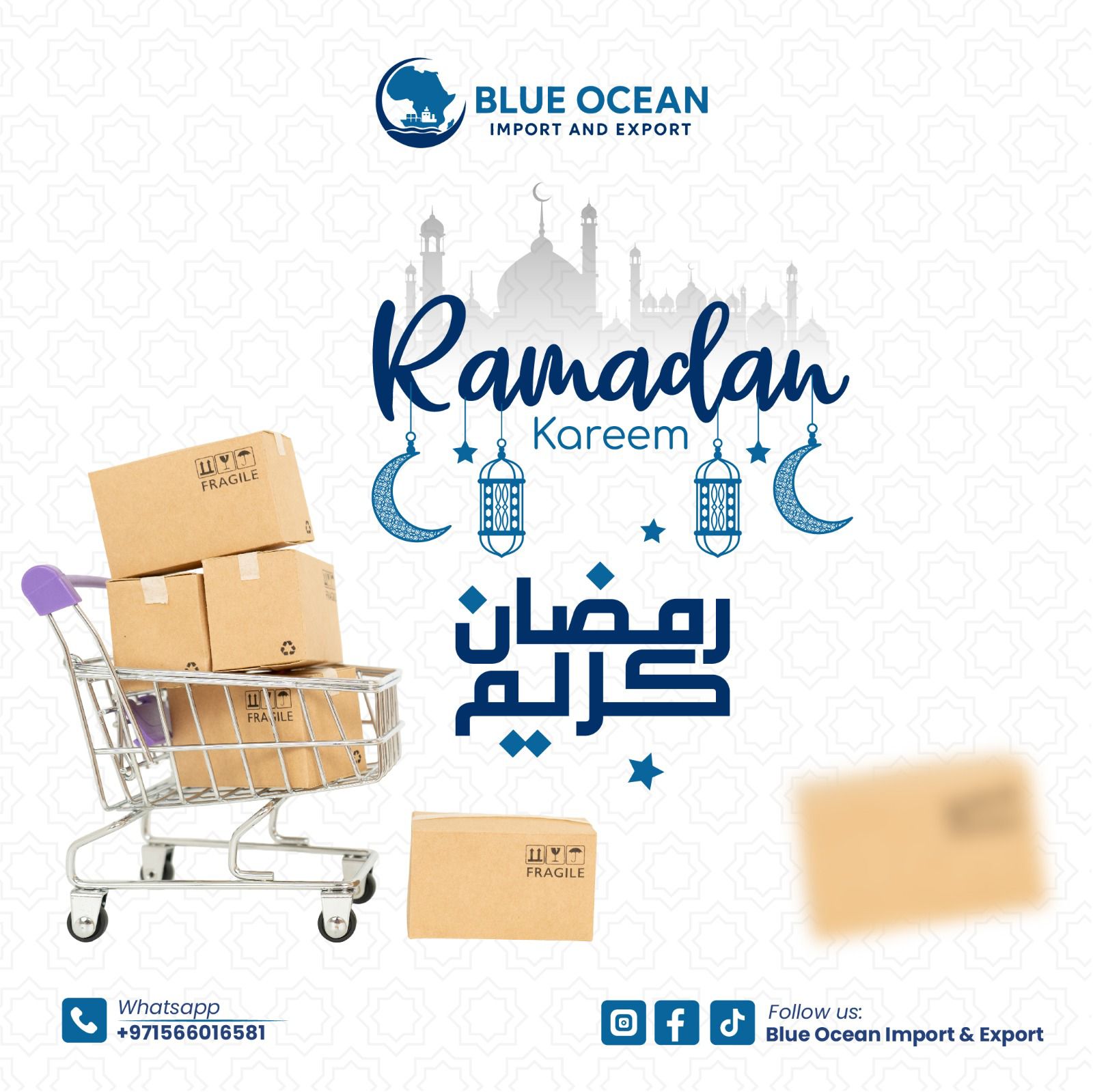 Blue Ocean Import & Export | Dubai