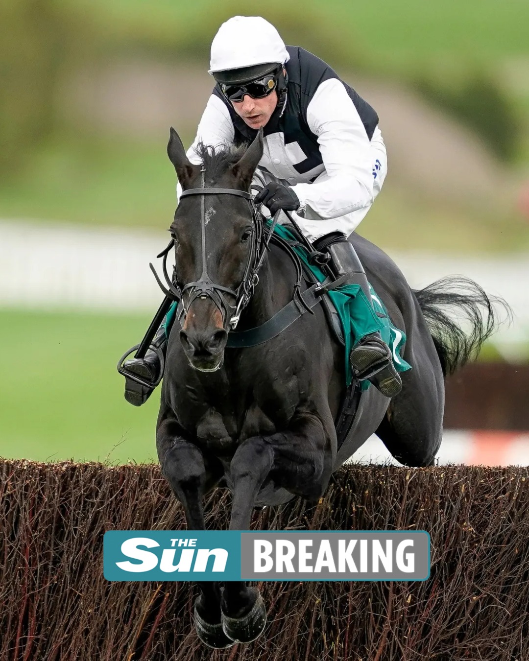 Sun Sport - BREAKING: Tragedy at Cheltenham races as... | Facebook