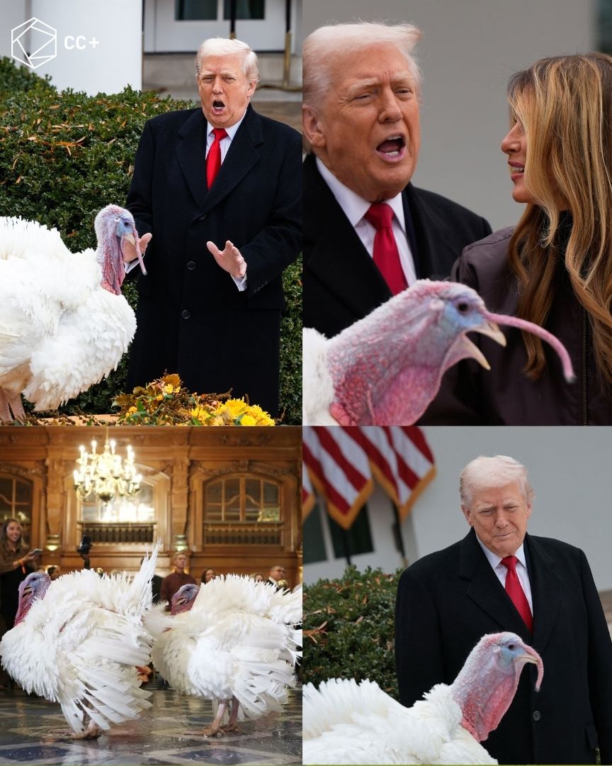 Cultura - “The turkeys being pardoned today go by the names of Gobble ...