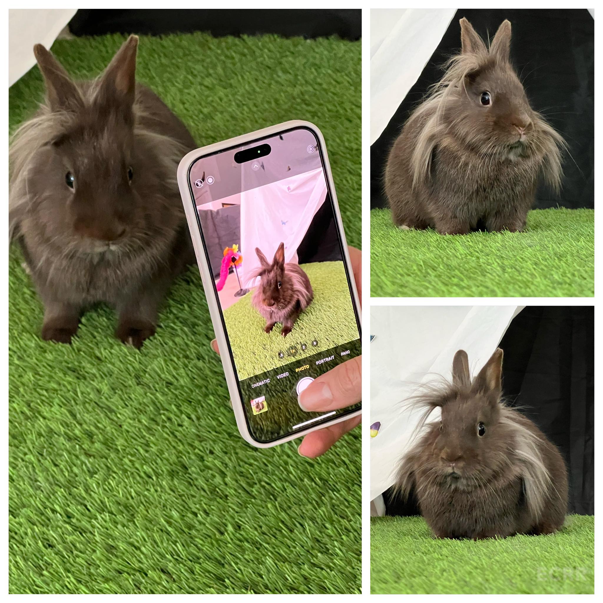 East - Betsy does not understand why she is still available for ...