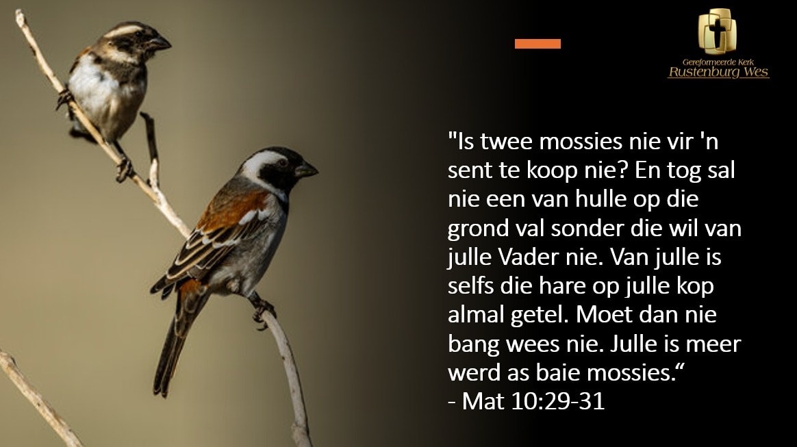 Gereformeerde Kerk Rustenburg - Wes | Rustenburg