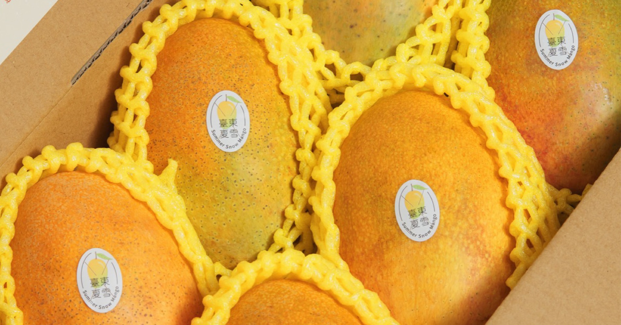 購夠台東 - 「夏雪芒果」🥭唯一有身分證的品種 2024身分證嶄新推出 夏雪芒果，被譽為芒果界的LV... | Facebook