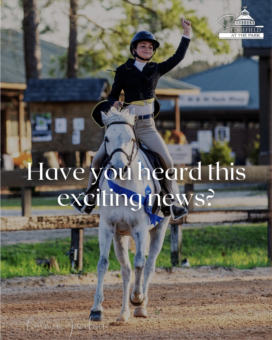 Sedgefield at the Park - Congrats to owner and rider Emily Grace Thomas ...