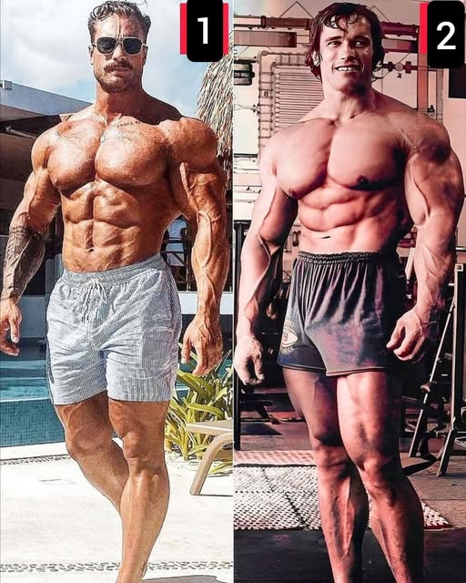 Gym - These comparison posts are everywhere on bodybuilding pages—but ...
