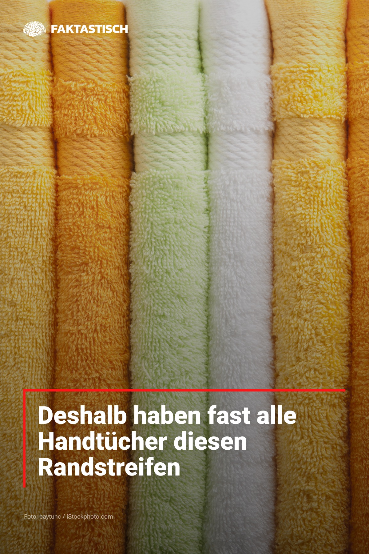Faktastisch