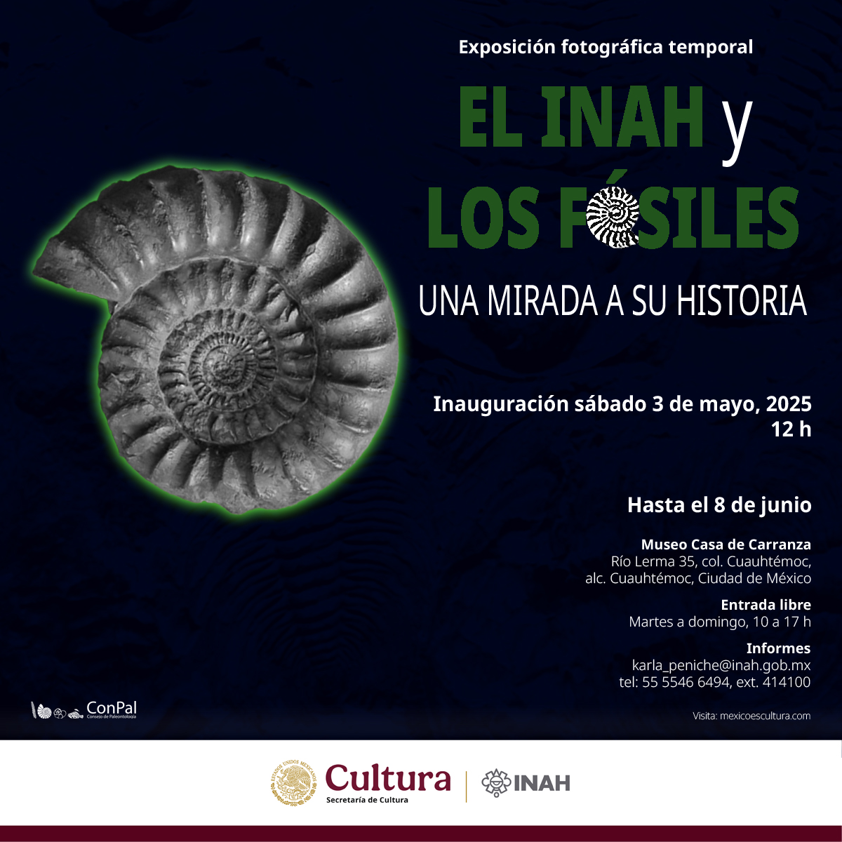 Museo - Exposición temporal El INAH y los fósiles. Una mirada a su ...