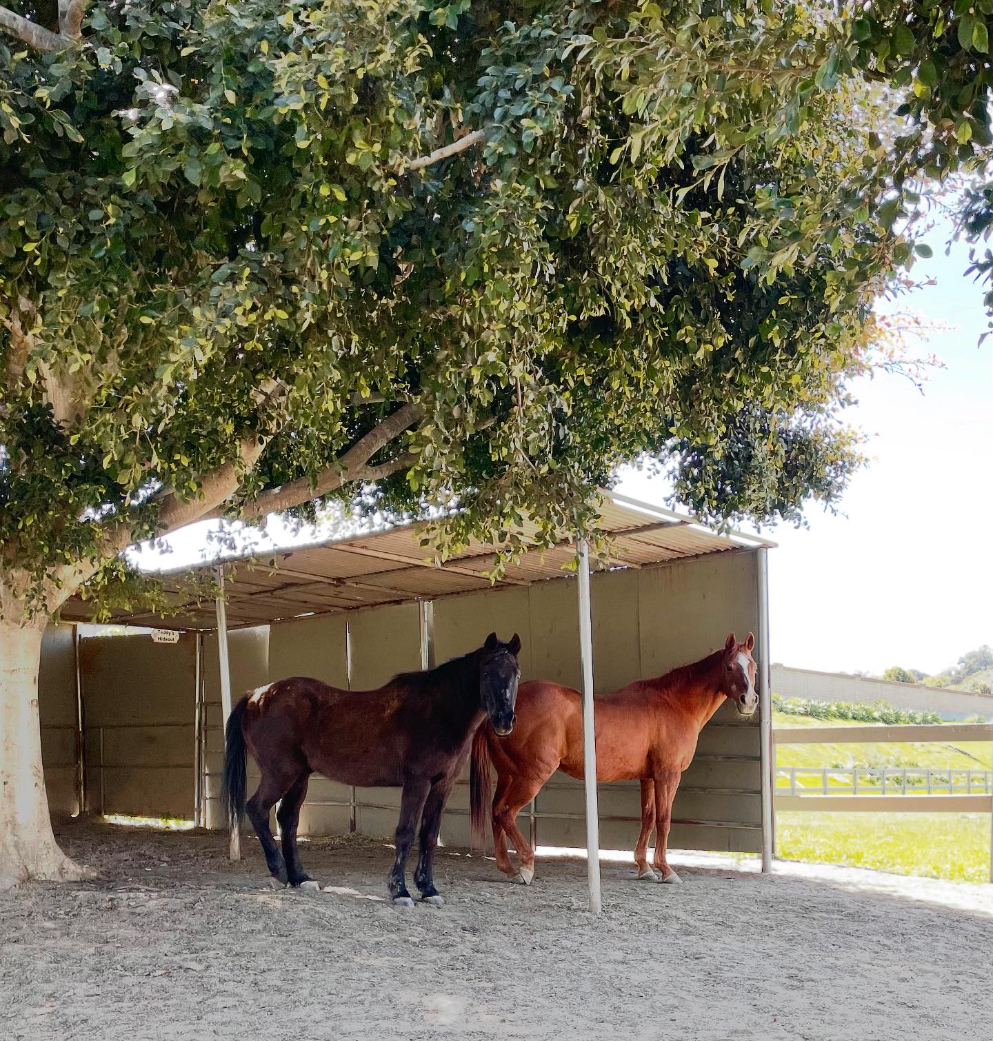 Ivey Ranch Park Association | Oceanside CA