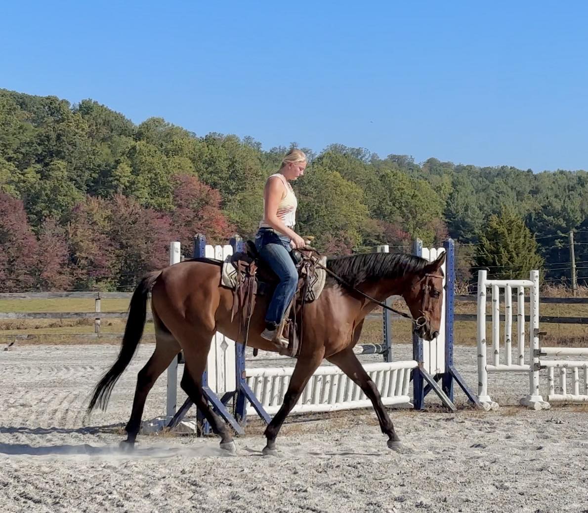 Triple R Horses - Triple R Horses added a new photo.