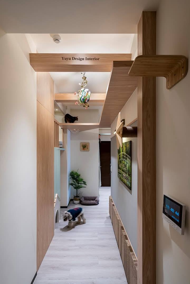 魚室研所 Interior Design added a new photo. - 魚室研所 Interior Design