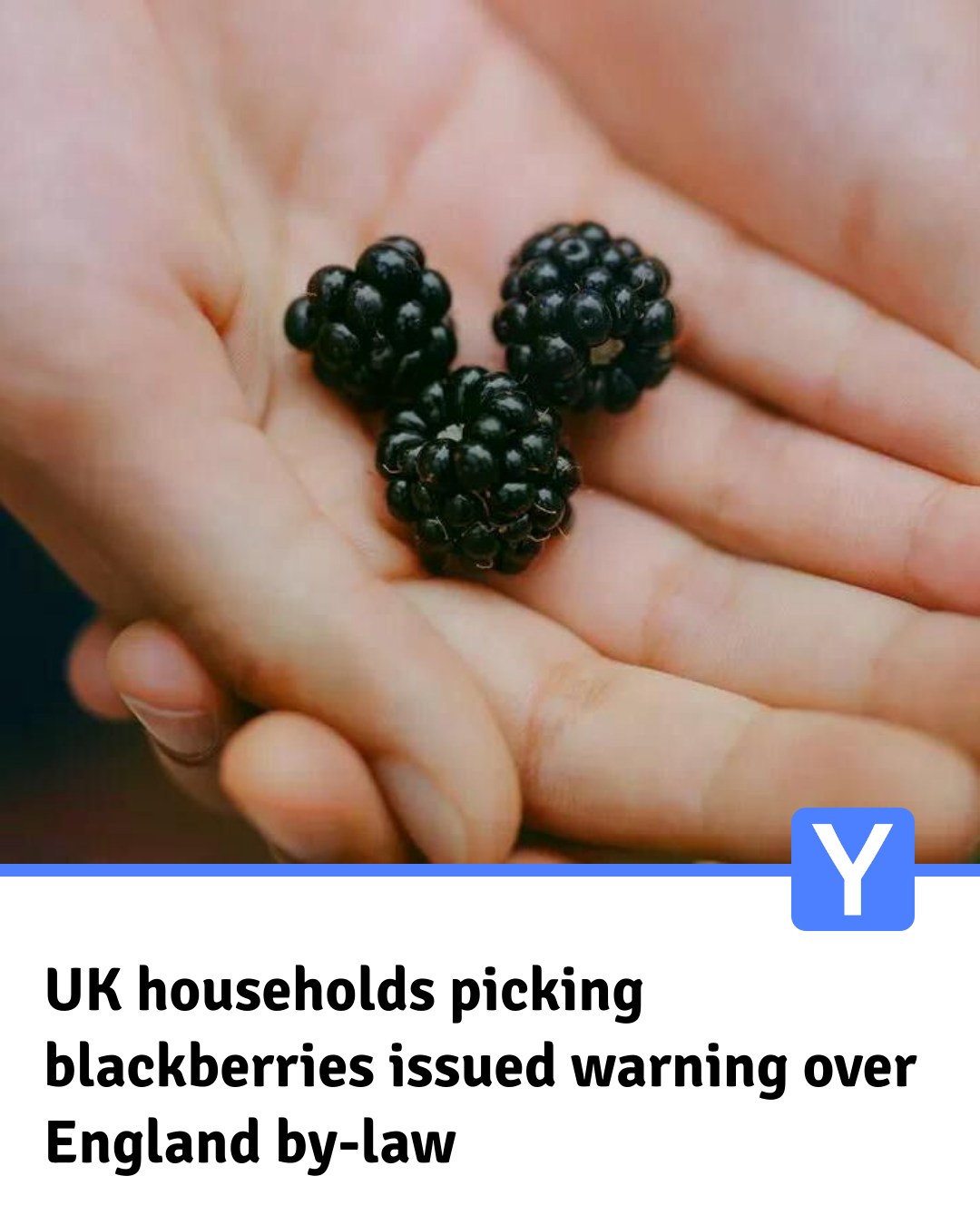 yorkshire-british-local-food-has-issued-a-warning-to-households