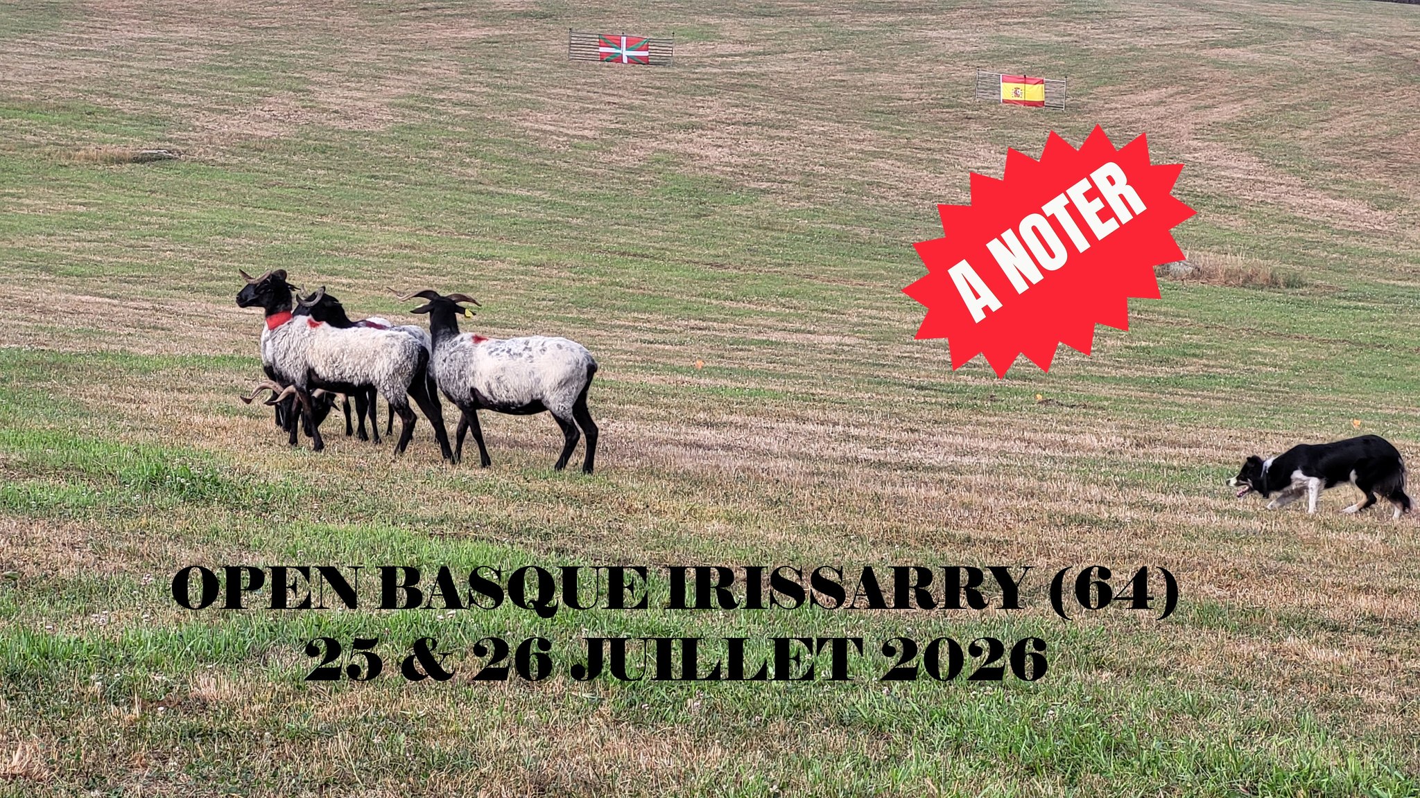French - Nouvel Open 😄 OPEN BASQUE à IRISSARRY. Edition 2026 ! 25&26 ...