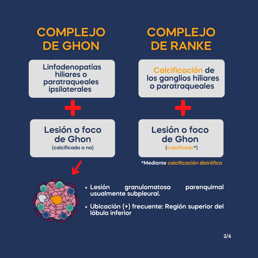𝐂𝐨𝐦𝐩𝐥𝐞𝐣𝐨 𝐝𝐞... - Asesoría de Fisiopatología y Semiología