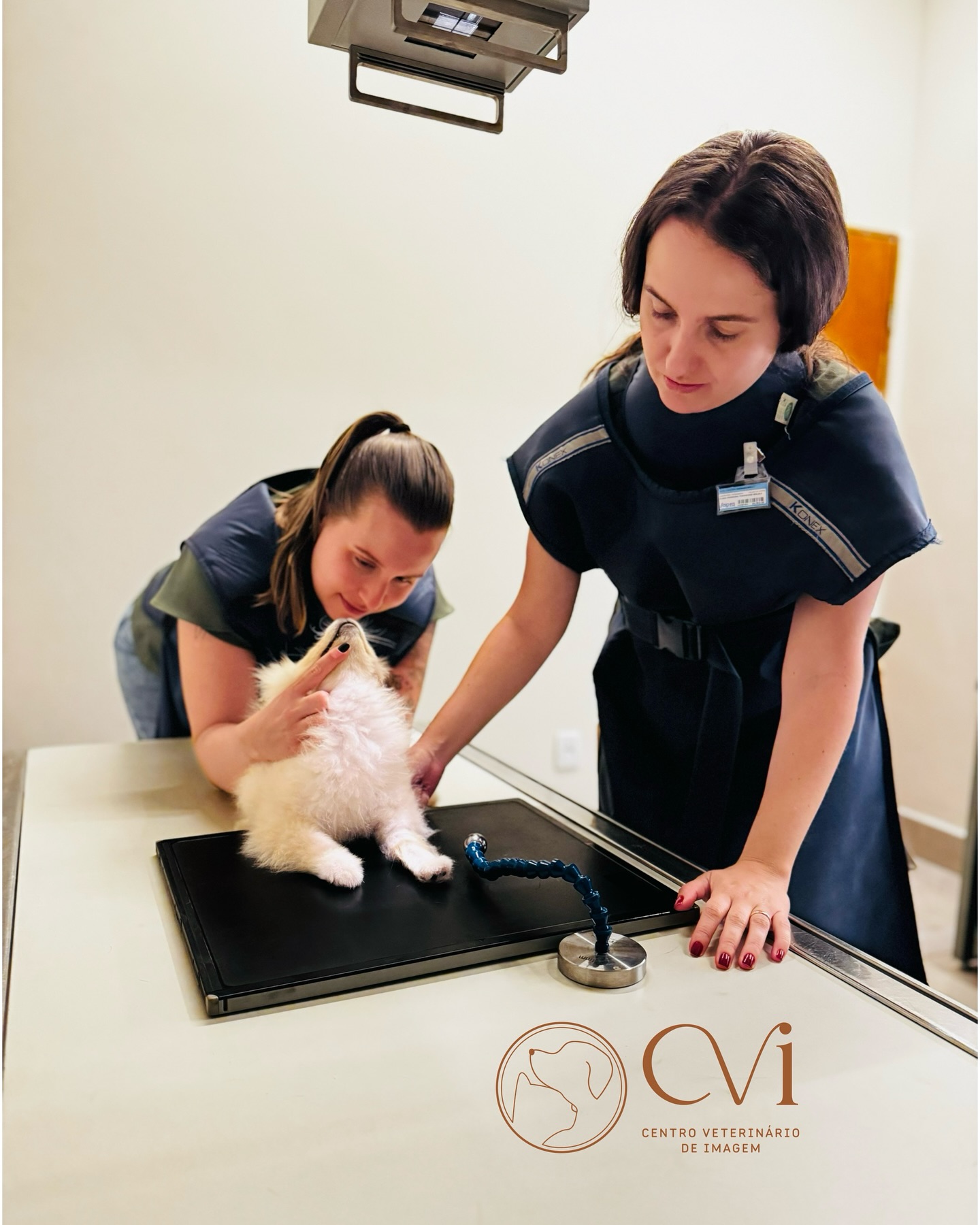 Centro Veterinário de... - Centro Veterinário de Imagem - CVI