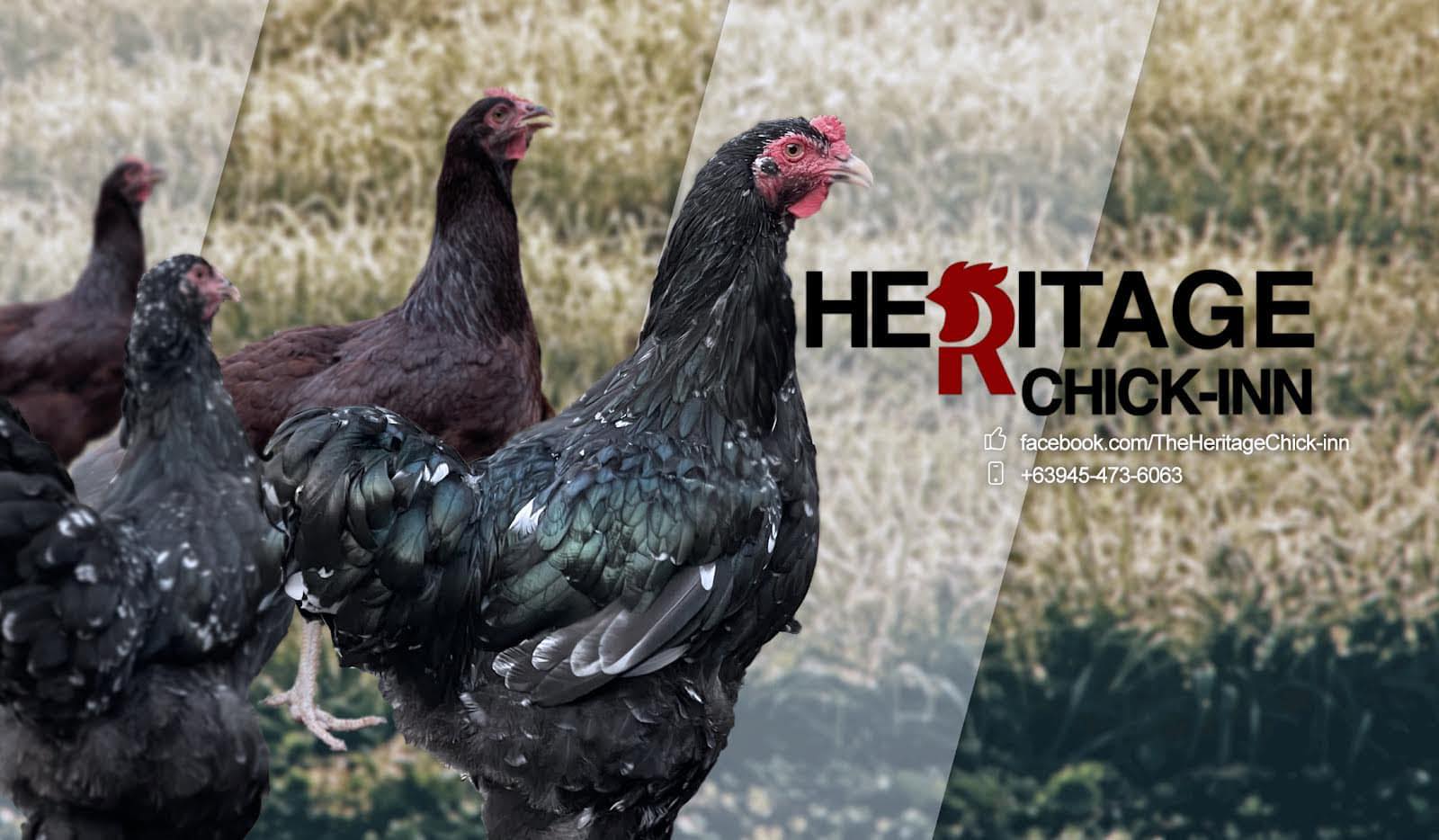 Heritage Chick-Inn