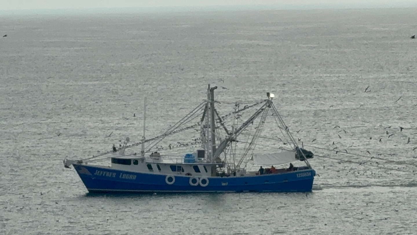 Henry - Watching the Shrimp Boat, Jeffrey Logan, hard at work in the ...