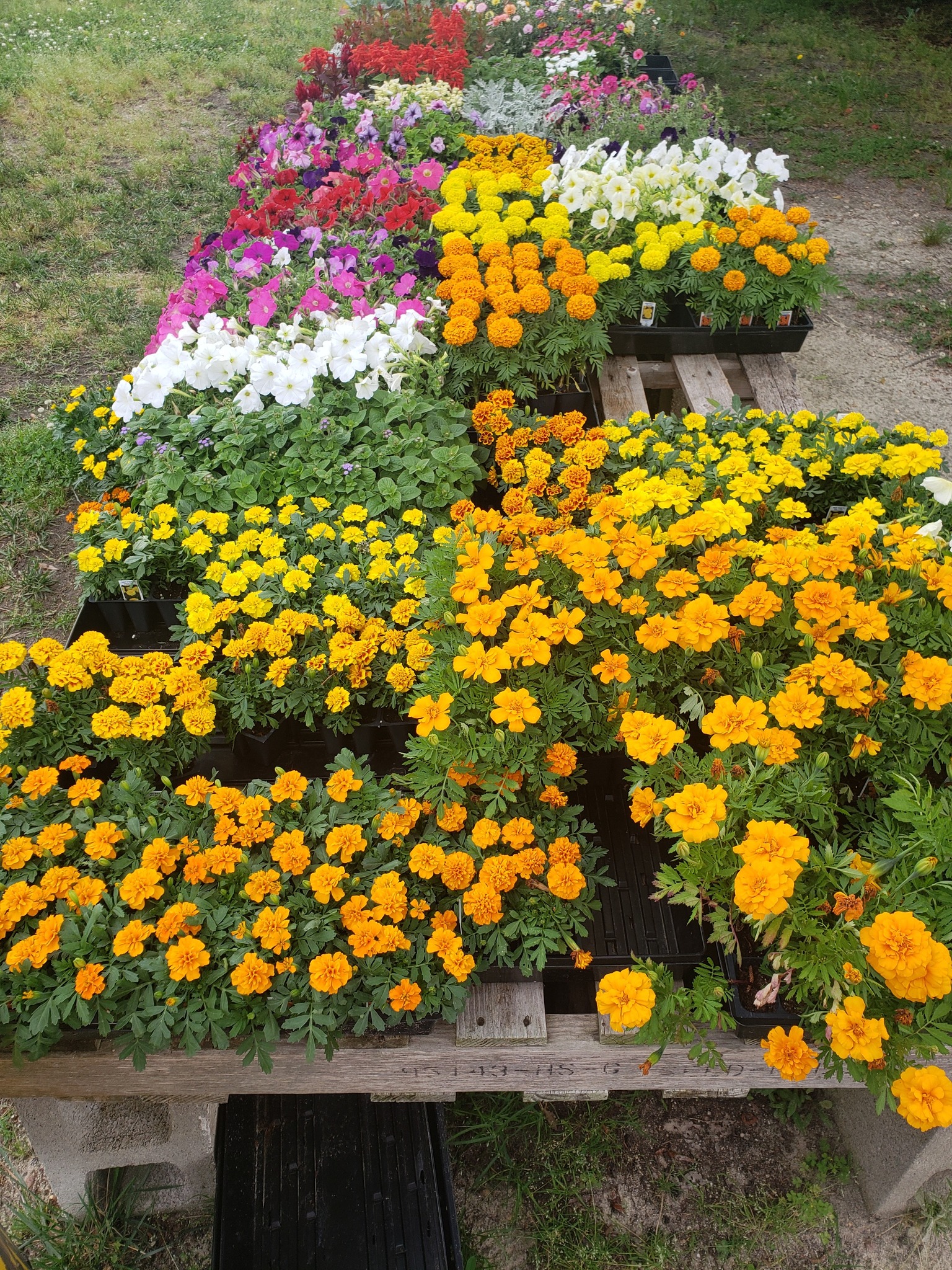 Stone Ridge Farm Market added a... - Stone Ridge Farm Market