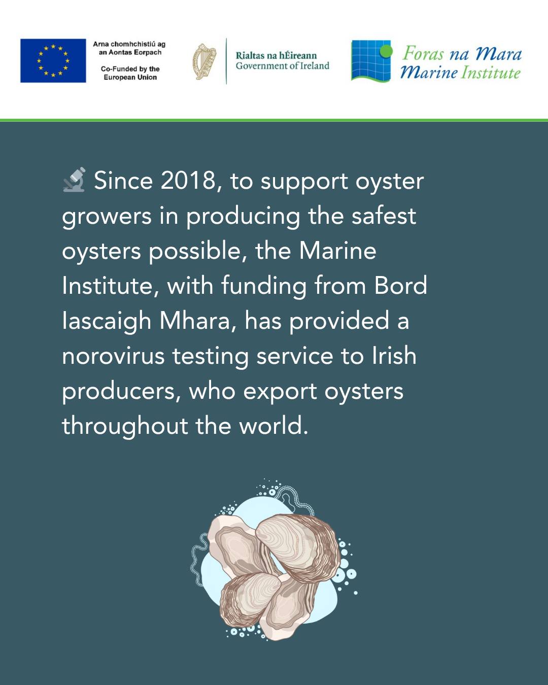 marine-institute-foras-na-mara-transition-year-students-learn-about
