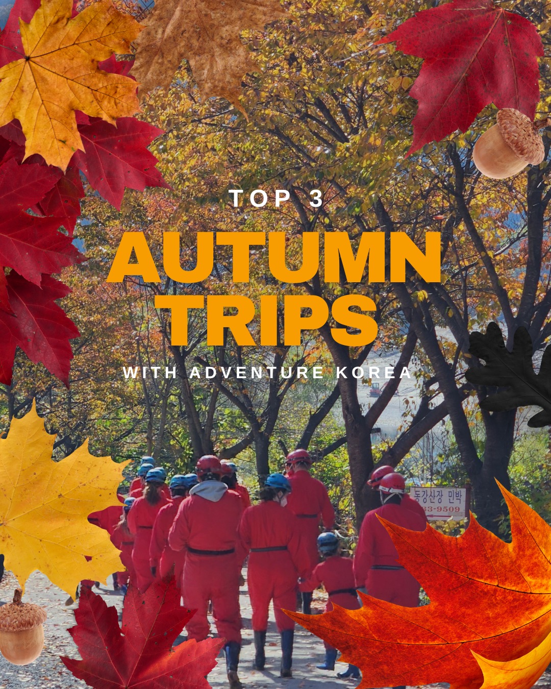 Adventure Korea - 🍂 Top 3 Autumn Trips with Adventure... | Facebook
