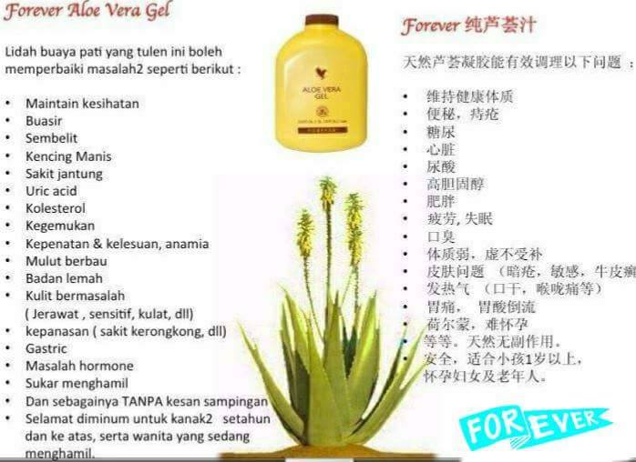 Fenny Aloe Care Forever Aloe Vera Gel 芦荟汁的好处 Facebook