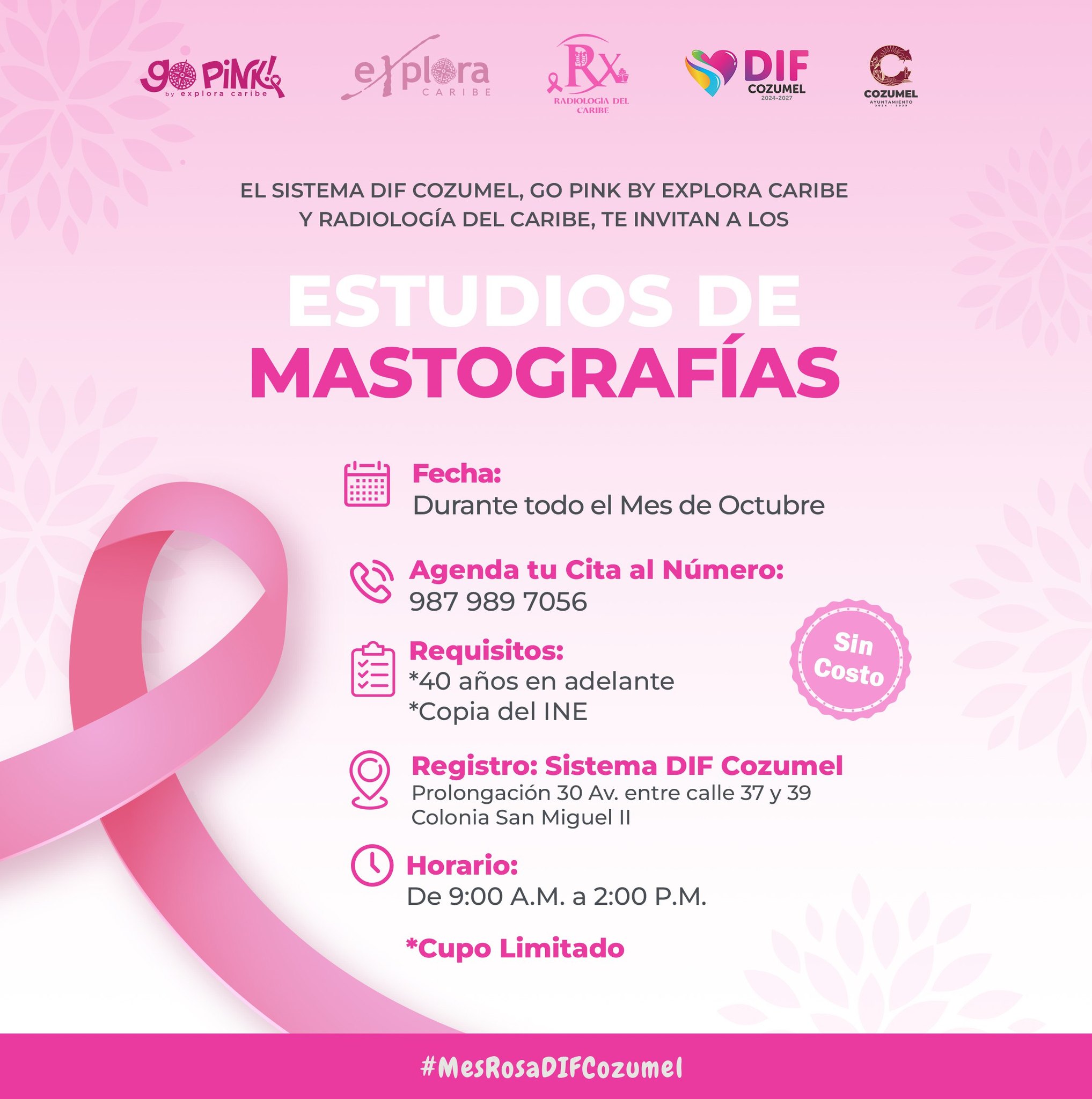 DIF Cozumel - El Sistema DIF Cozumel, Go Pink by Explora... | Facebook