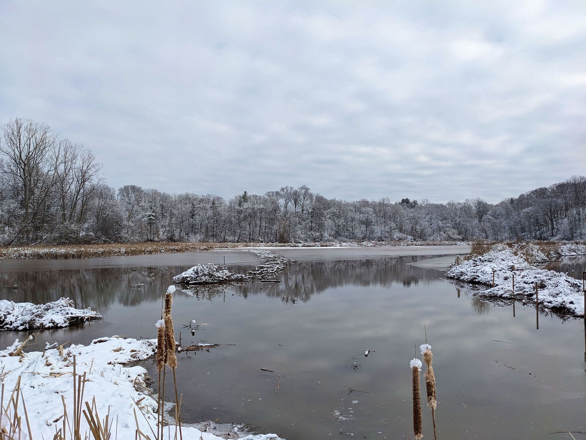 Hamilton - Walk at the Grindstone Marshes ️ Join Peter Langballe for a ...