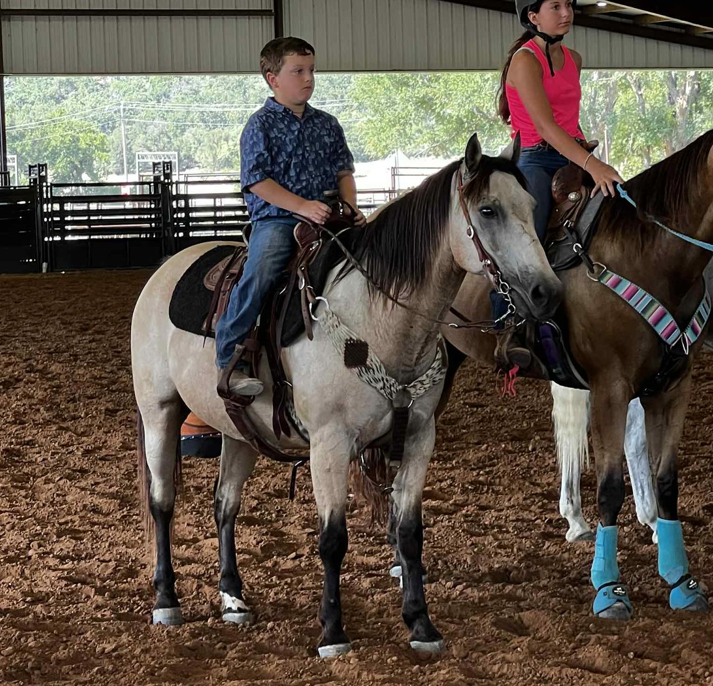 TnT Ranch & Tom Davis... - TnT Ranch & Tom Davis Horsemanship