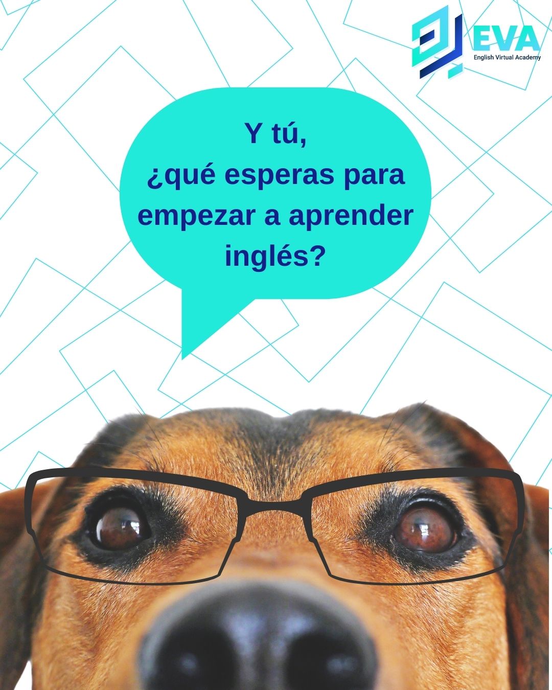 🐶📚 ¡El inglés no se aprende... - EVA English Virtual Academy | Facebook