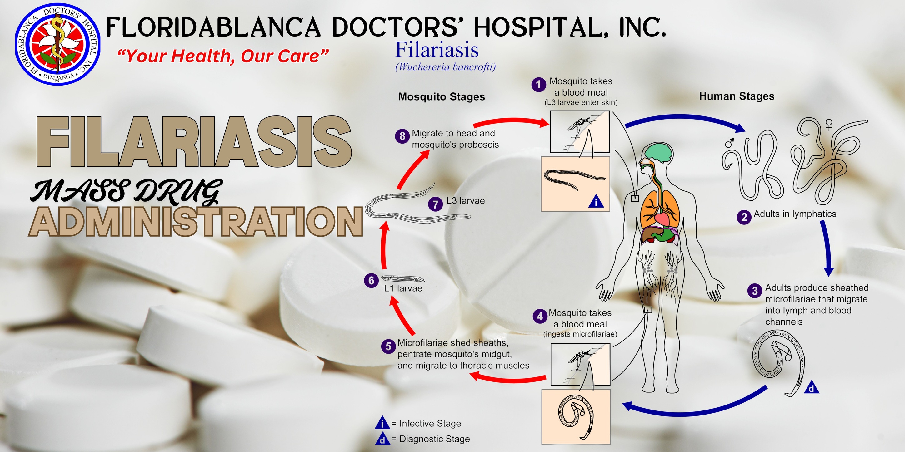 floridablanca-mass-drug-administration-mda-for-filariasis