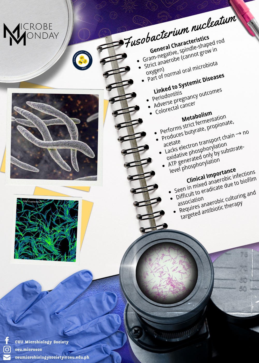 CEU - Jaundice Is identified when the body does not process bilirubin ...