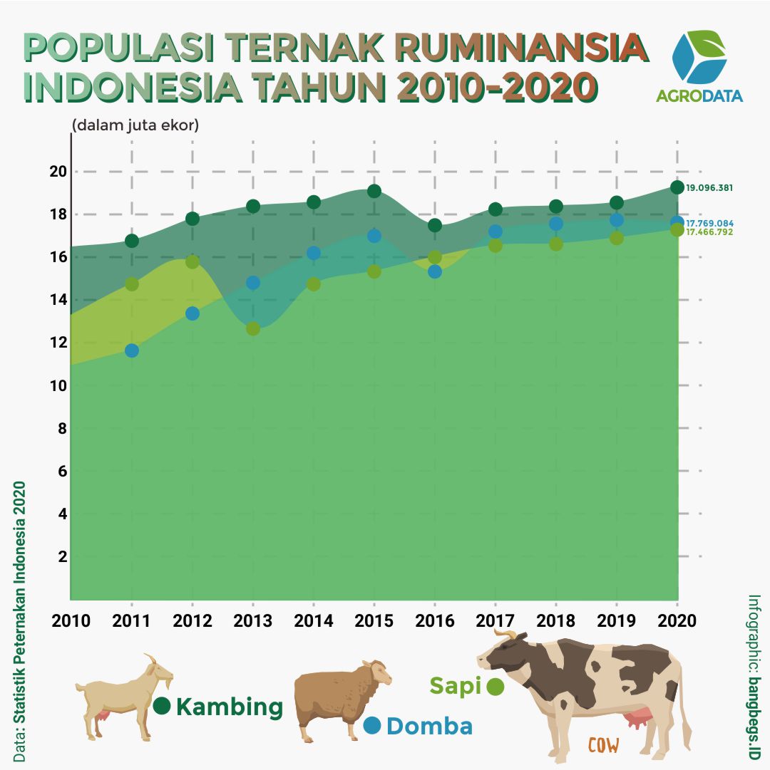 Agrodata - Kebutuhan protein dalam negeri memberikan peluang peternakan ...