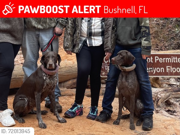 Sumter - UPDATE: REUNITED!! Sarah is home safe & sound after 17 days, 6 ...