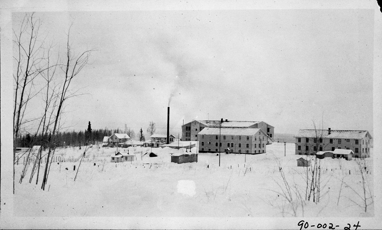 A snowy... - University of Alaska Fairbanks Rasmuson Library | Facebook