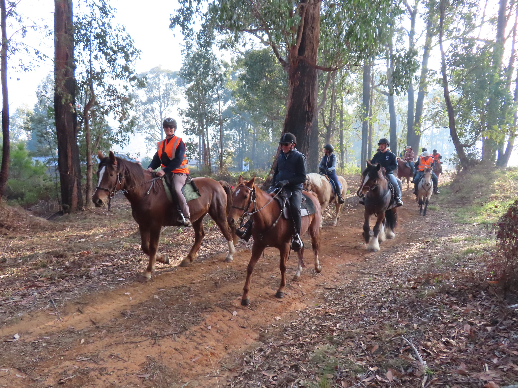Australian... - Australian Trail Horse Riders Association