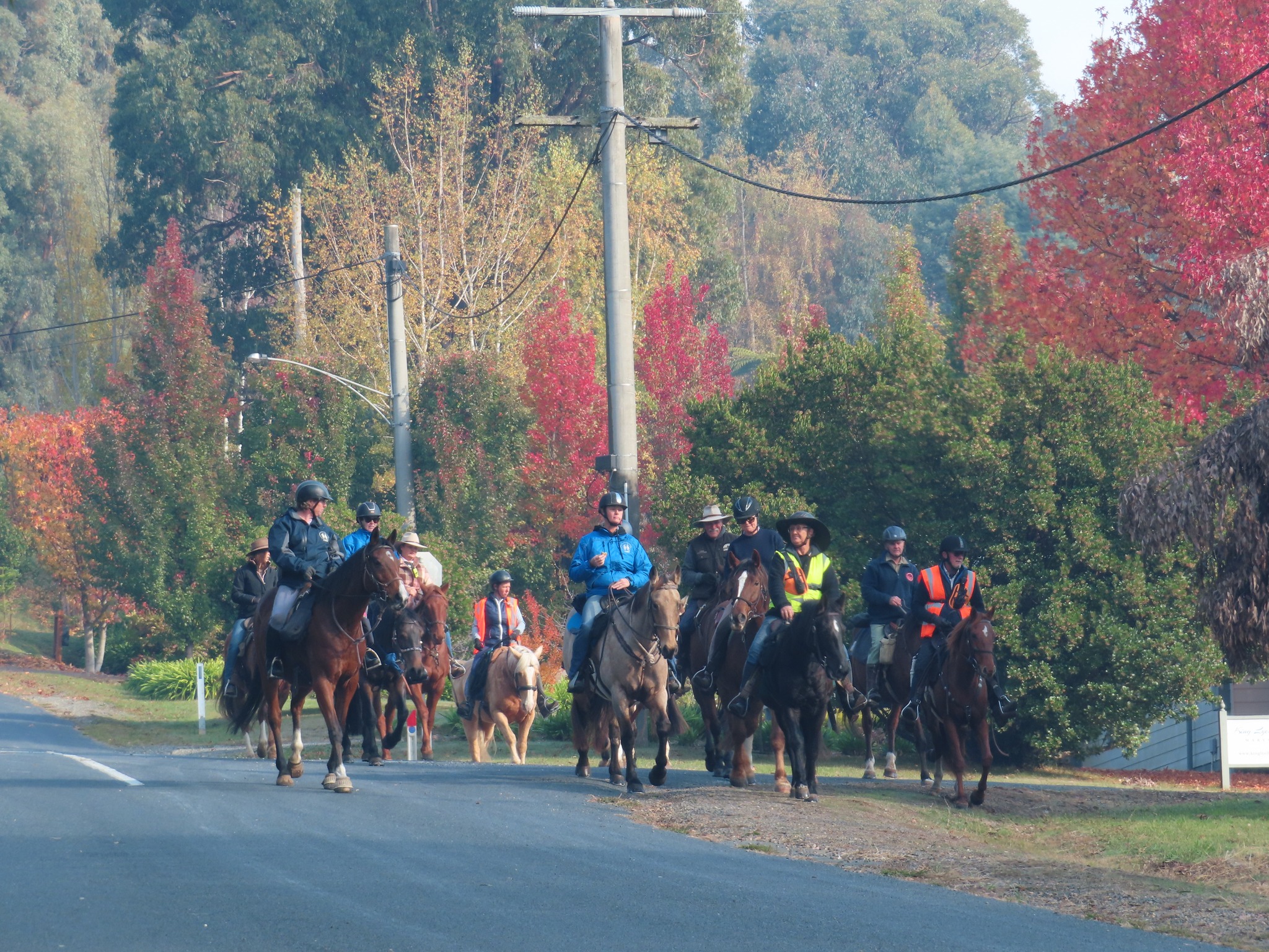 Australian... - Australian Trail Horse Riders Association