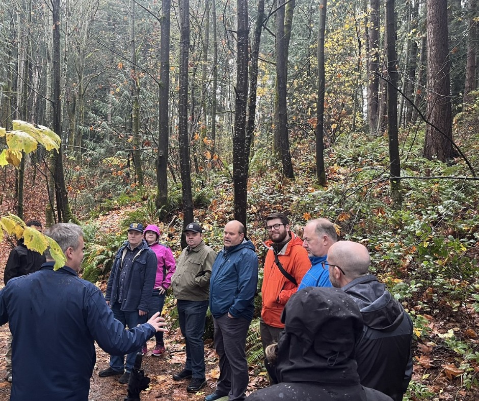 The Shelton View Forest is a... - City of Bothell Government | Facebook