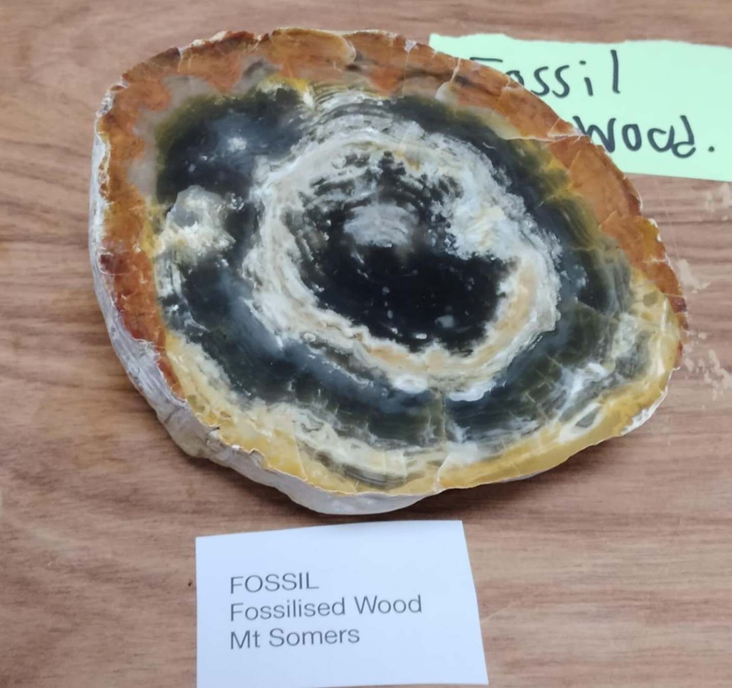 Canterbury Mineral... - Canterbury Mineral and Lapidary Club