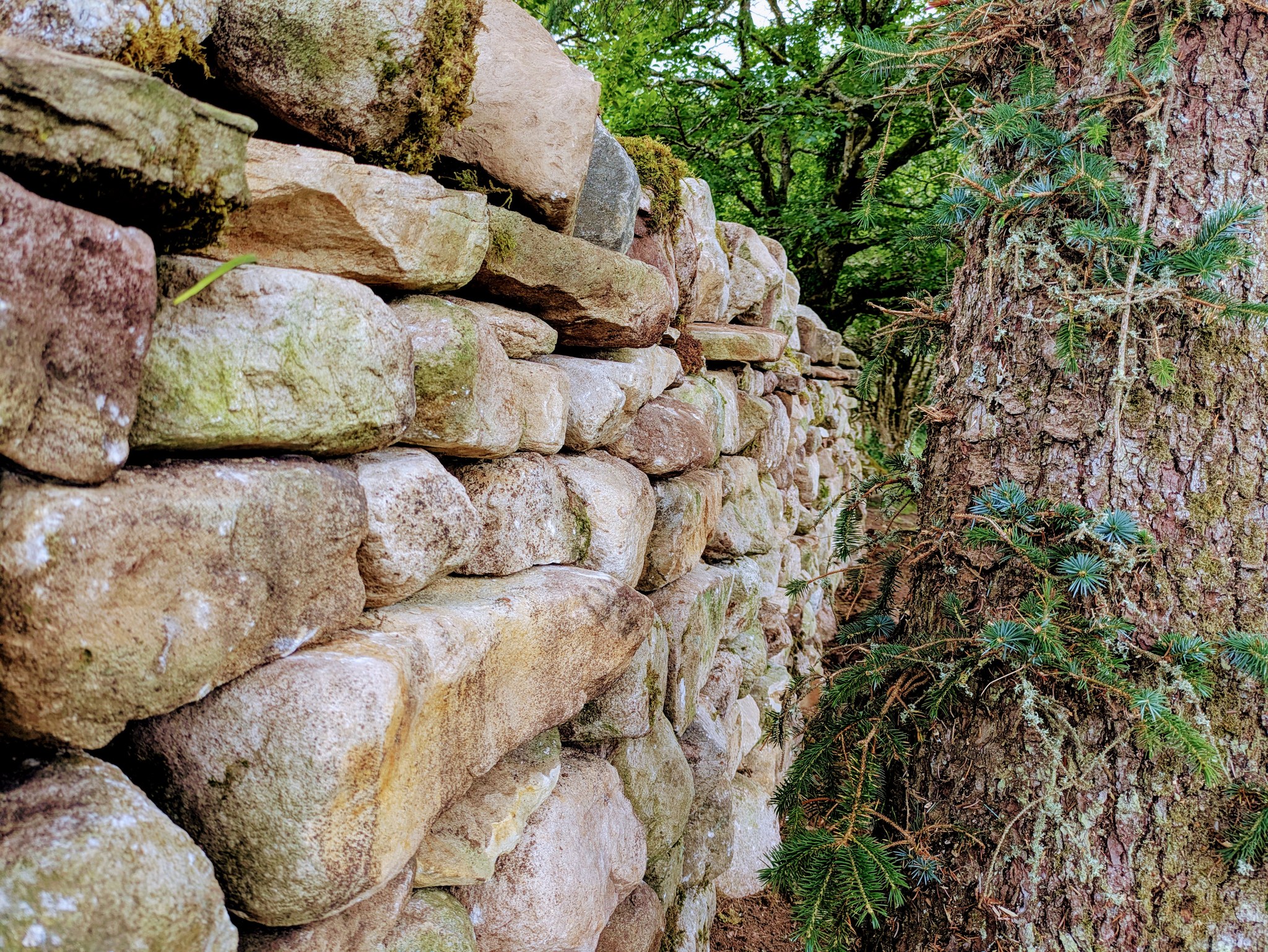 EarthStone