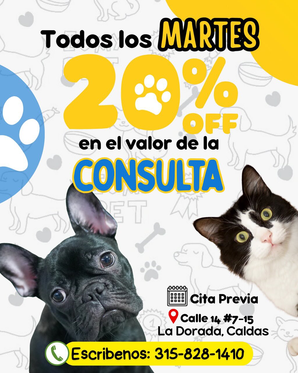 Centro Veterinario TimoVet
