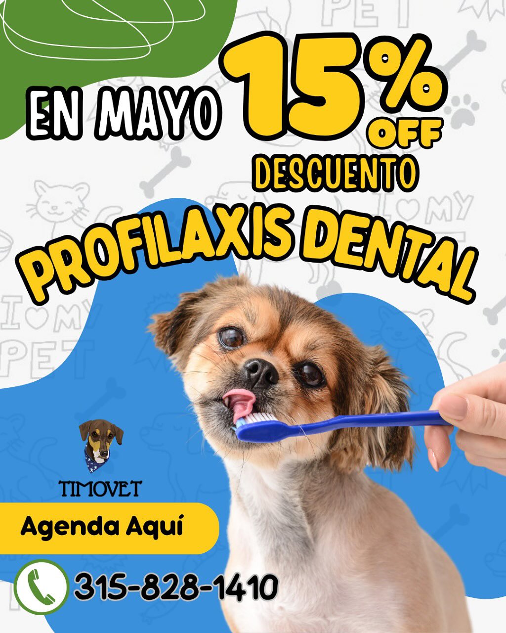 Centro Veterinario TimoVet