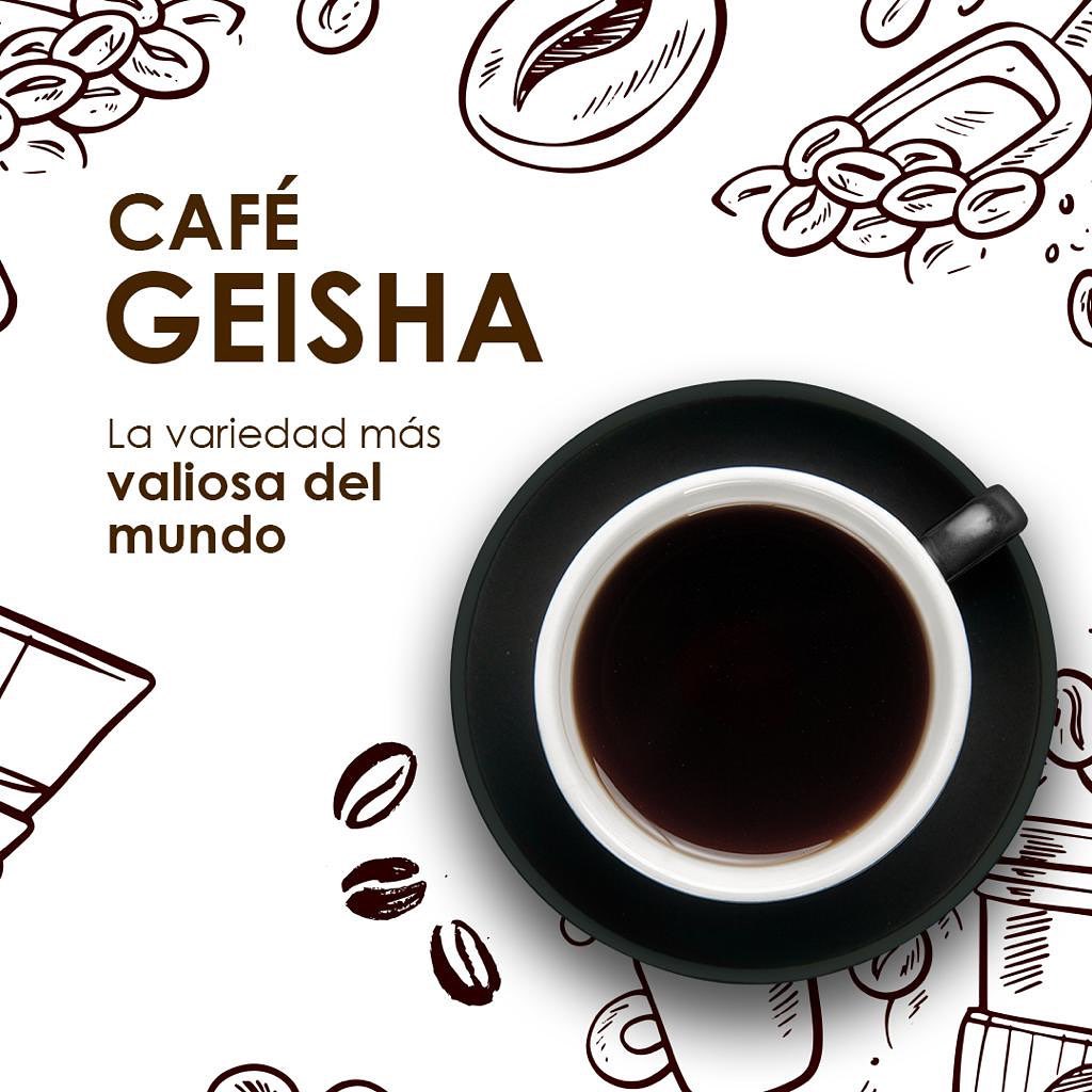 Toños Cafe - El café Geisha de Panamá 🇵🇦tiene una calidad... | Facebook